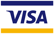 Visa card logo